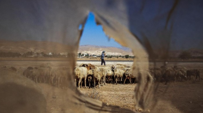 Arab Saudi Murka, Israel Curi 800 Hektare Tanah di Tepi Barat